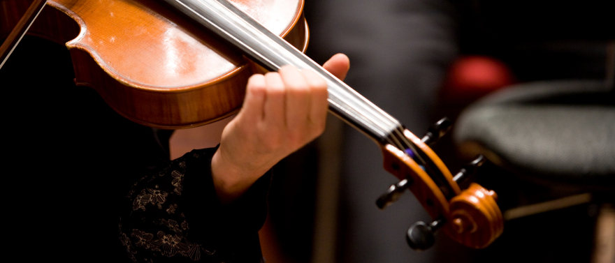 Aanvoerder altviool (100%) - NedPhO